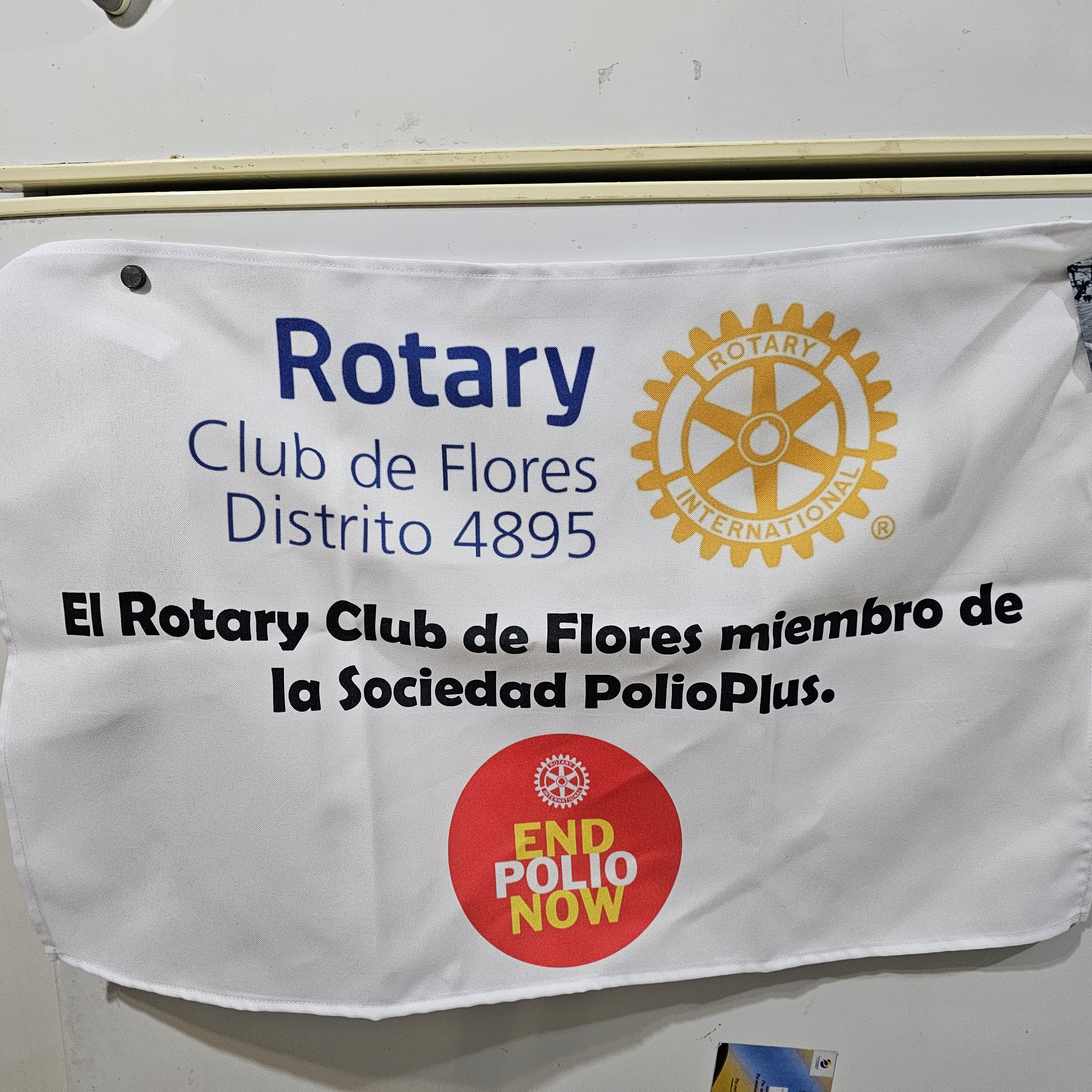 Sociedad Polio Plus: compromiso del club en aportes fijos para la campaña contra la poliomielitis